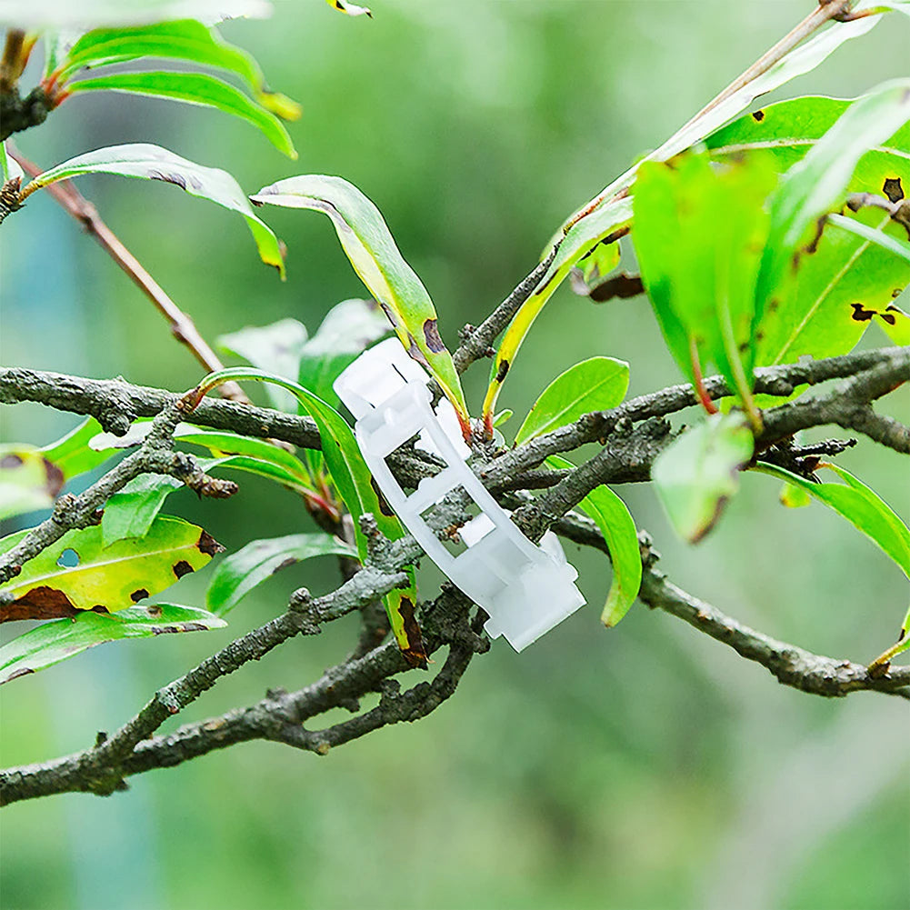 50/100/150Pcs Plant Support Clips Reusable Plastic Trellis Clips Garden Clips for Grape Vine Tomato Vine Vegetables Plants Zpaxo