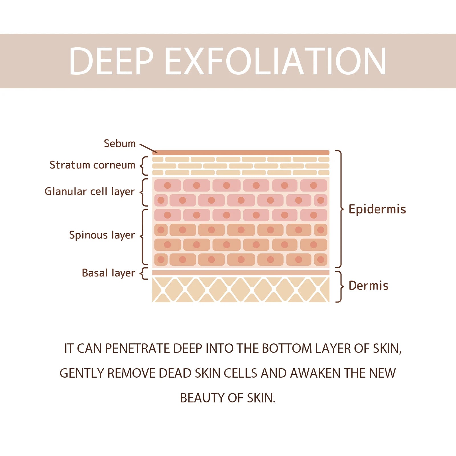 Exfoliating Gel Pore Shrinking Repair Redness Deep Cleansing Remove Dead Skin Dark Spot Brighten Moisturizer Peeling Face Scrub Zpaxo