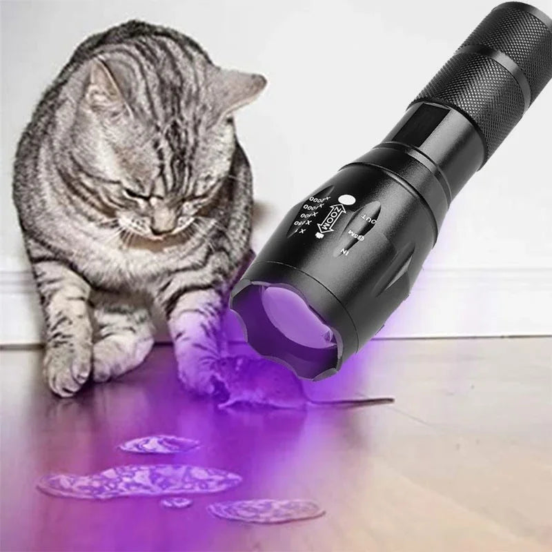 395nm UV & White Dual-Light Zoomable Flashlight | Pet Stain Torch