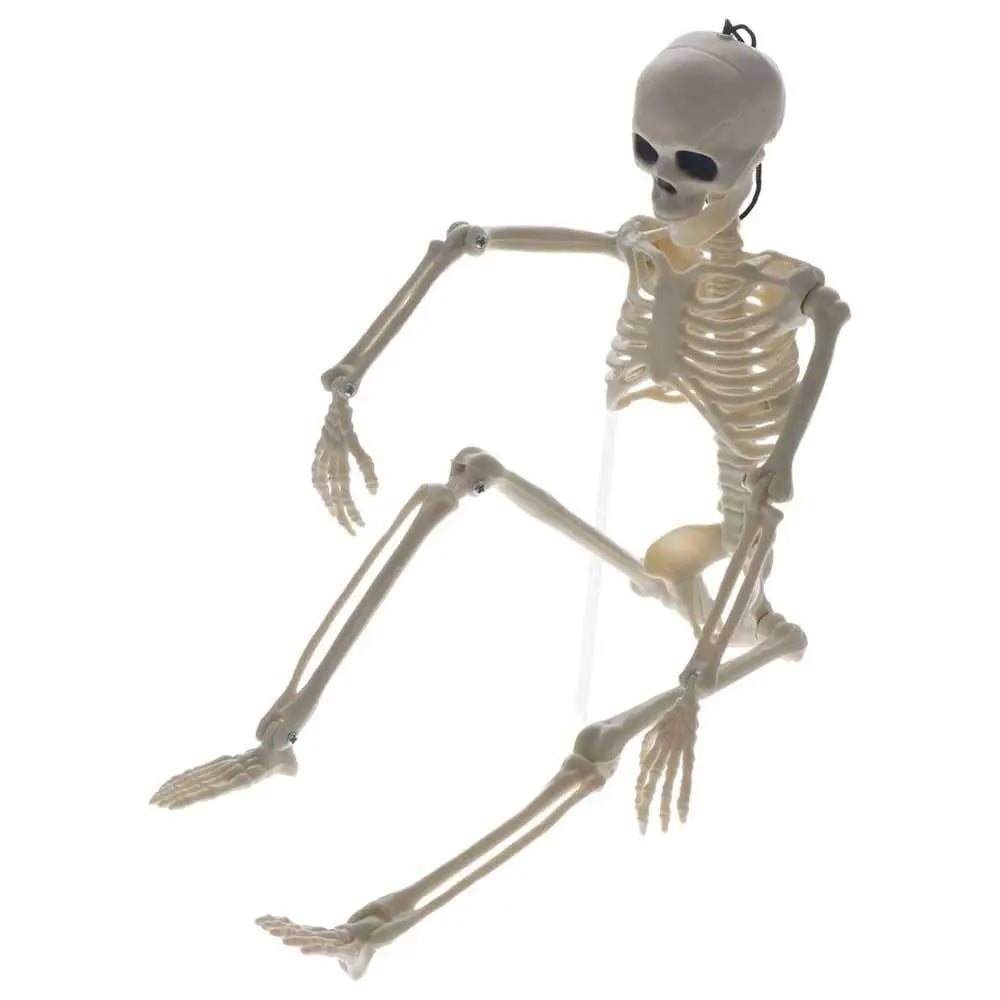 Decoration Skeleton Art Sketch Flexible Learn Aid Human Model Car Zpaxo
