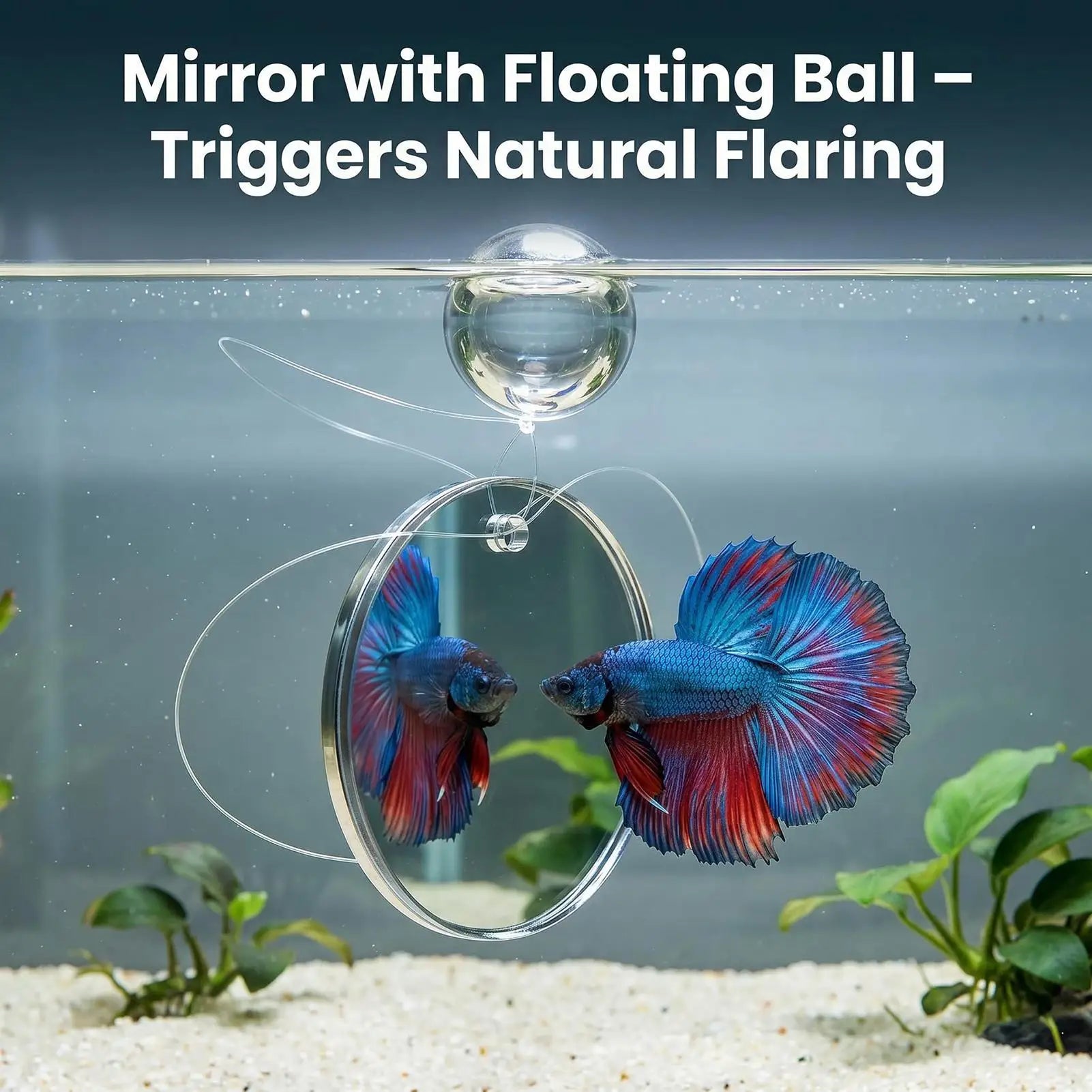Betta Enrichment Toys 7 Training Moon Heart-shaped Ring Tank Decor