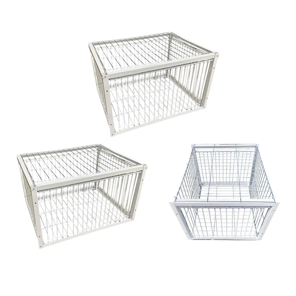 Pigeon Trap Cage – Humane Single Entry Bird Trap for Farms Bird Trap Cage Zpaxo