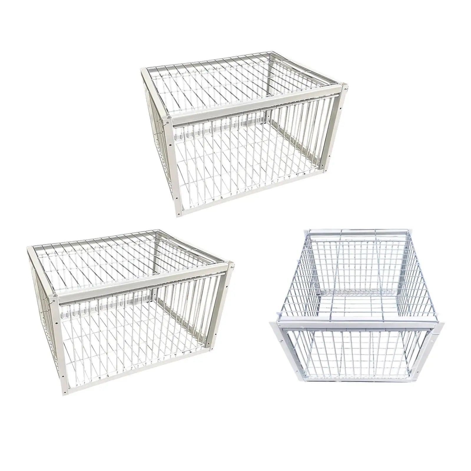 Pigeon Trap Cage – Humane Single Entry Bird Trap for Farms Bird Trap Cage Zpaxo