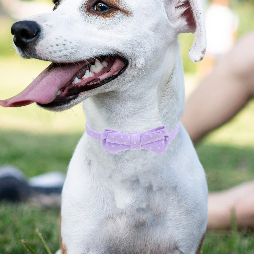 Pet Dog Collar Small Adjustable Bow Tie Cotton Bell Decorative