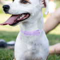 Pet Dog Collar Small Adjustable Bow Tie Cotton Bell Decorative