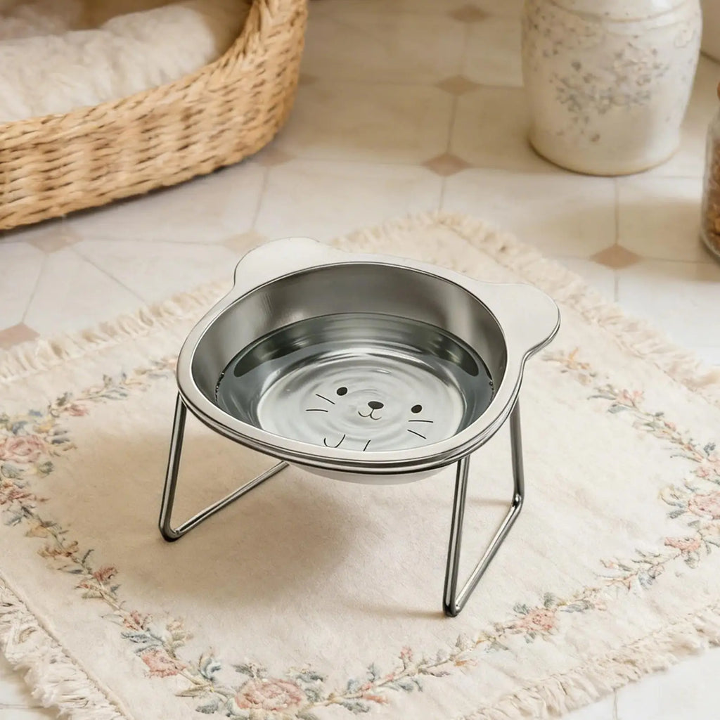 Cat Bowls Elevated Stainless Steel 15 Tilted Feeder Detachable Kitten