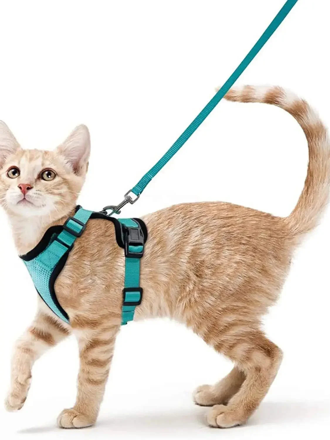 Summer Cat Dog Harness Lead Leash Adjustable Vest Polyester Mesh Breathable Harnesses Reflective for Small Dog Cat Lesah Zpaxo MINT GREEN XS