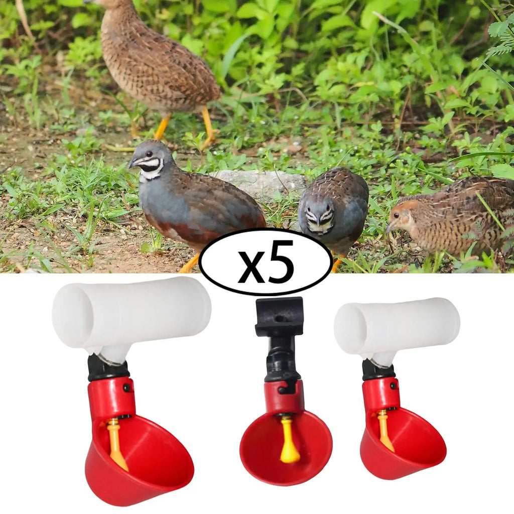 5 Pieces Automatic Chicken , Waterers Cups, Plastic Bowls Feeder Watering Cups for Chicks Poultry Supplies Hen Backyard Zpaxo