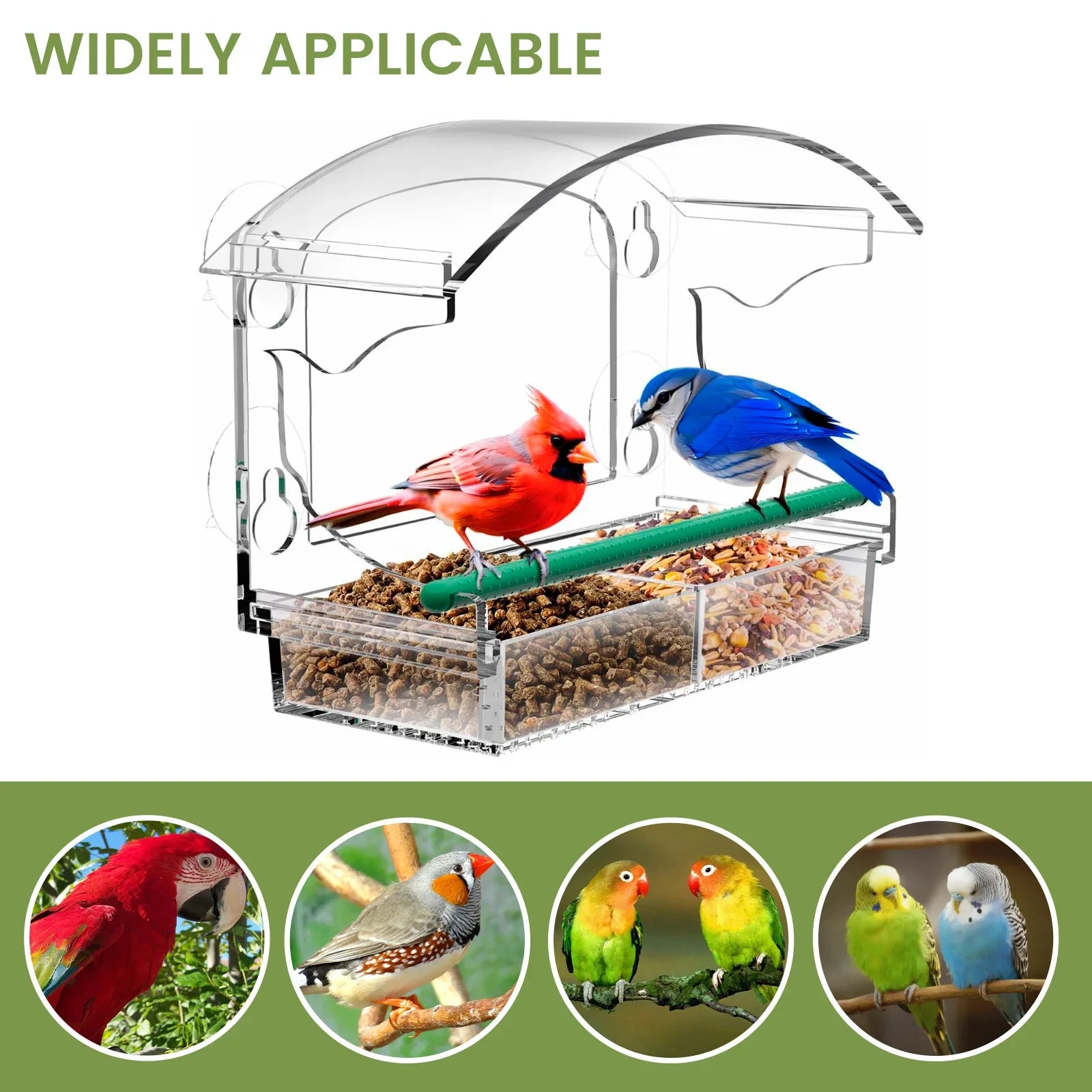 Acrylic Window Bird Feeder Clear House Suction Cups Removable Tray