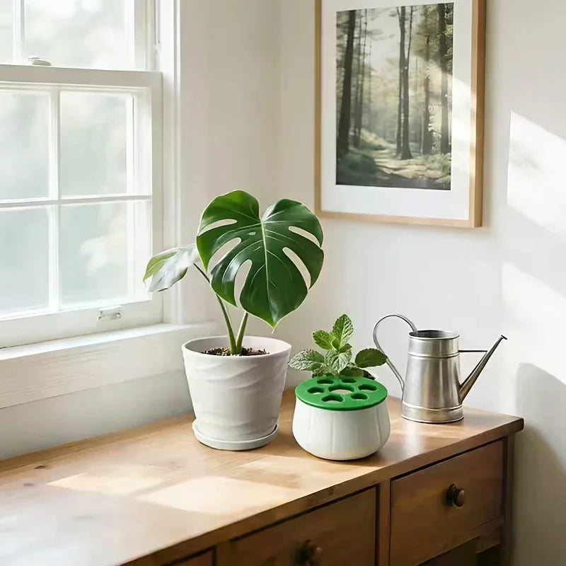 Green Onion Regeneration Planter Pot 3D Printed Hydroponic Plant Propagation Station Indoor Home Gardening Kitchen Gardening Zpaxo