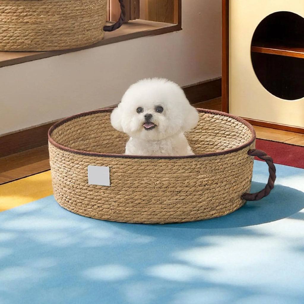 Cat Basket Cup Design Cute Pet Sleeping Nest Cotton Rope Woven