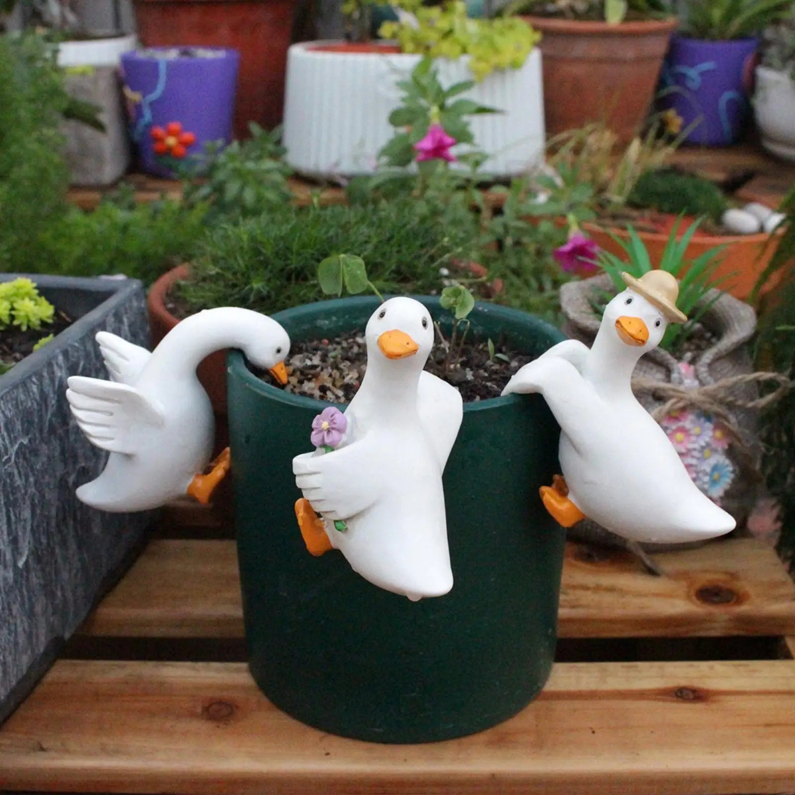 Duck Plant Pot Decors 3 Resin Cute Funny Figurines Ornaments Flower
