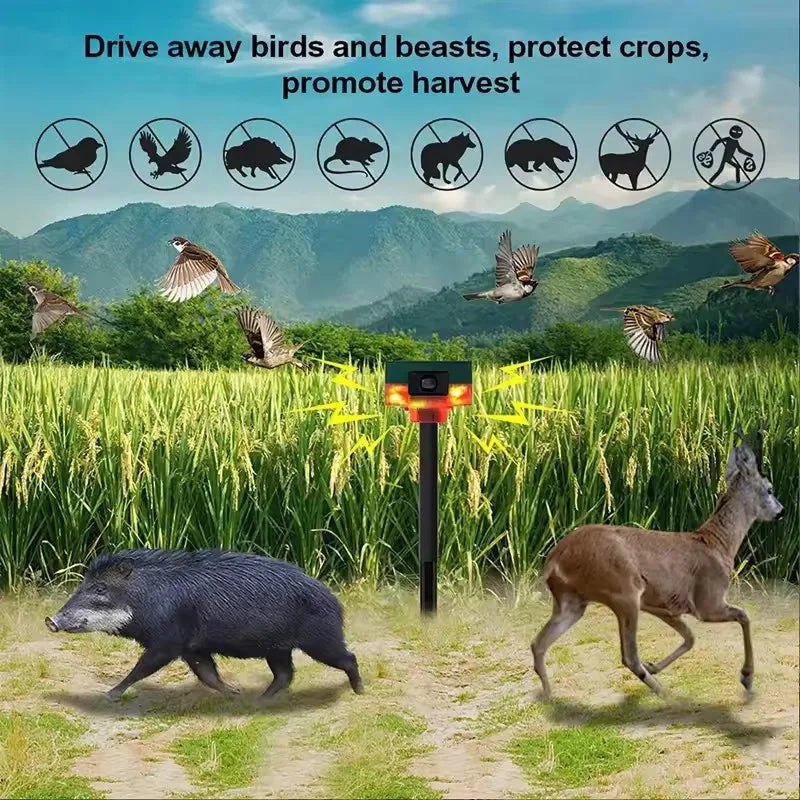 Outdoor Solar Alarm Light with Infrared Motion Sensor Area Sound Recording Waterproof Anti-theft Animal Repeller Security Alarm Zpaxo