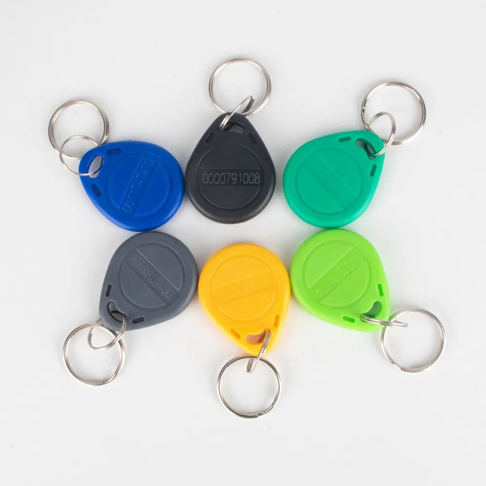 10/20pcs 125khz TK4100 EM4100 RFID Proximity Keychain Door Entry Access Control 125K Read Only ID Token Keyfob Tag Keys Keykobs Zpaxo