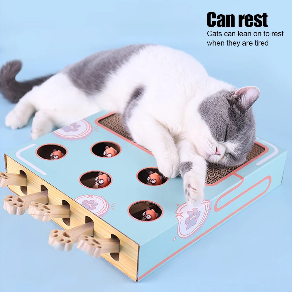 Cat Hit Gophers 1 Game Box Funny Stick Toy Chase Hunt Mouse Maze