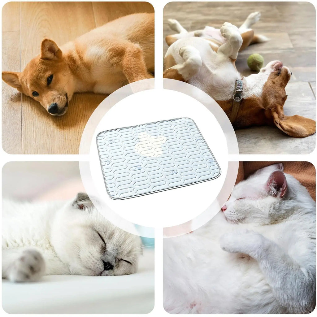 Cooling Pad For Dog Foldable Scratch-Proof Summer Cushion Ice Silk Pet Cooling Mat For Sleeping Resting Camping Travel Shelter Zpaxo