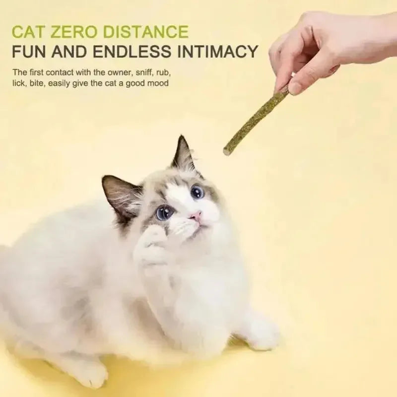 Natural Silvervine Catnip Chew Sticks – Cat Dental Toy 6-Pack
