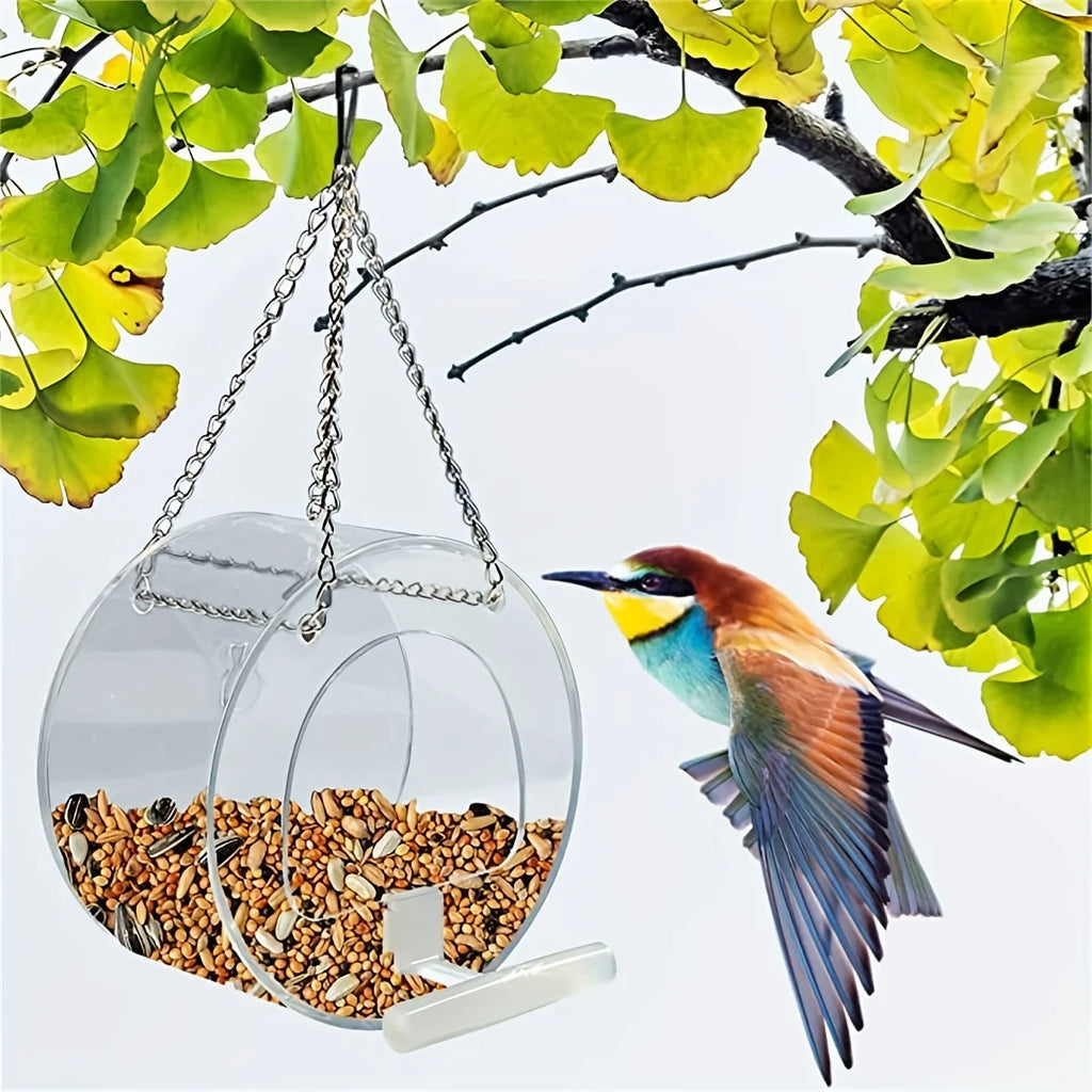 Round Acrylic Bird Feeder Courtyard Hanging Suction Cup PMMA