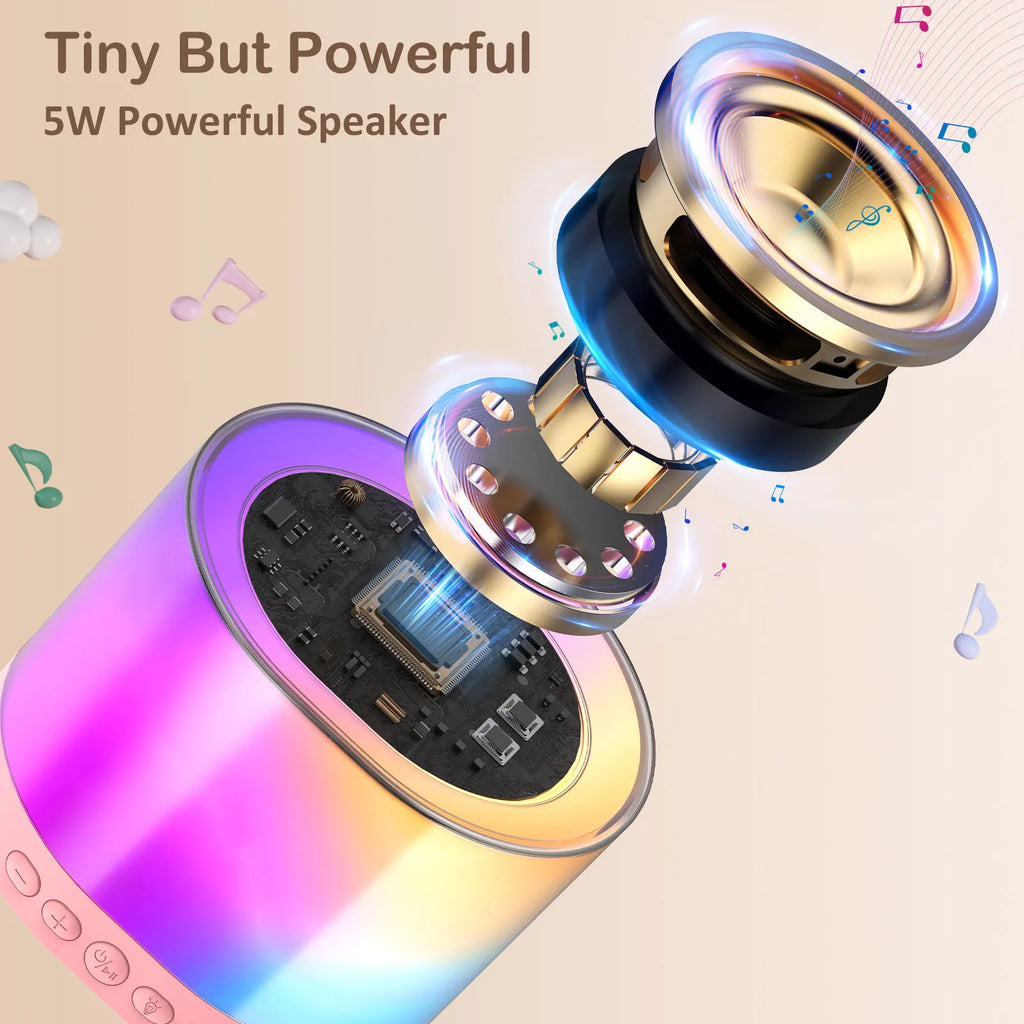 D23 Karaoke Machine 2 Wireless Microphones Portable 5 0 PA Bluetooth