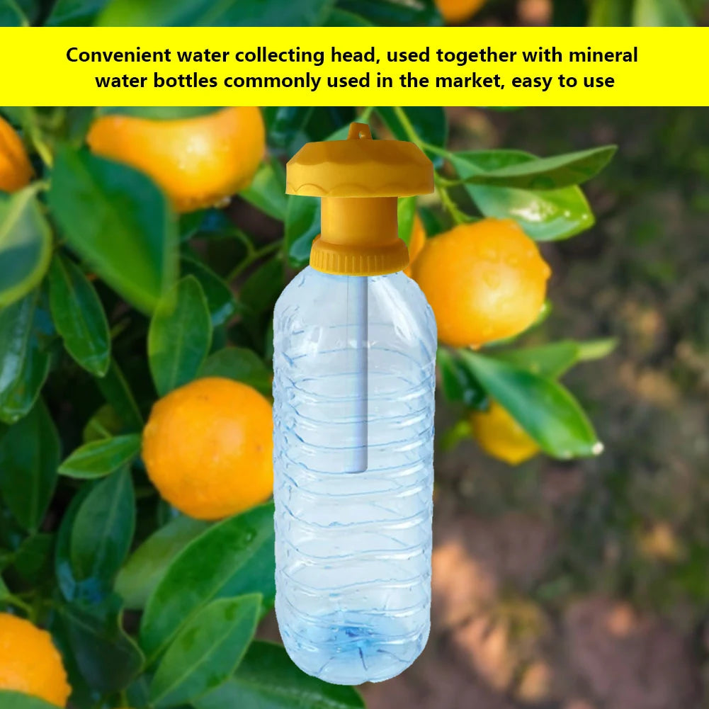 1- Fruit Plastic Drosophila Catcher Pest Insect Control Fly Trap Zpaxo