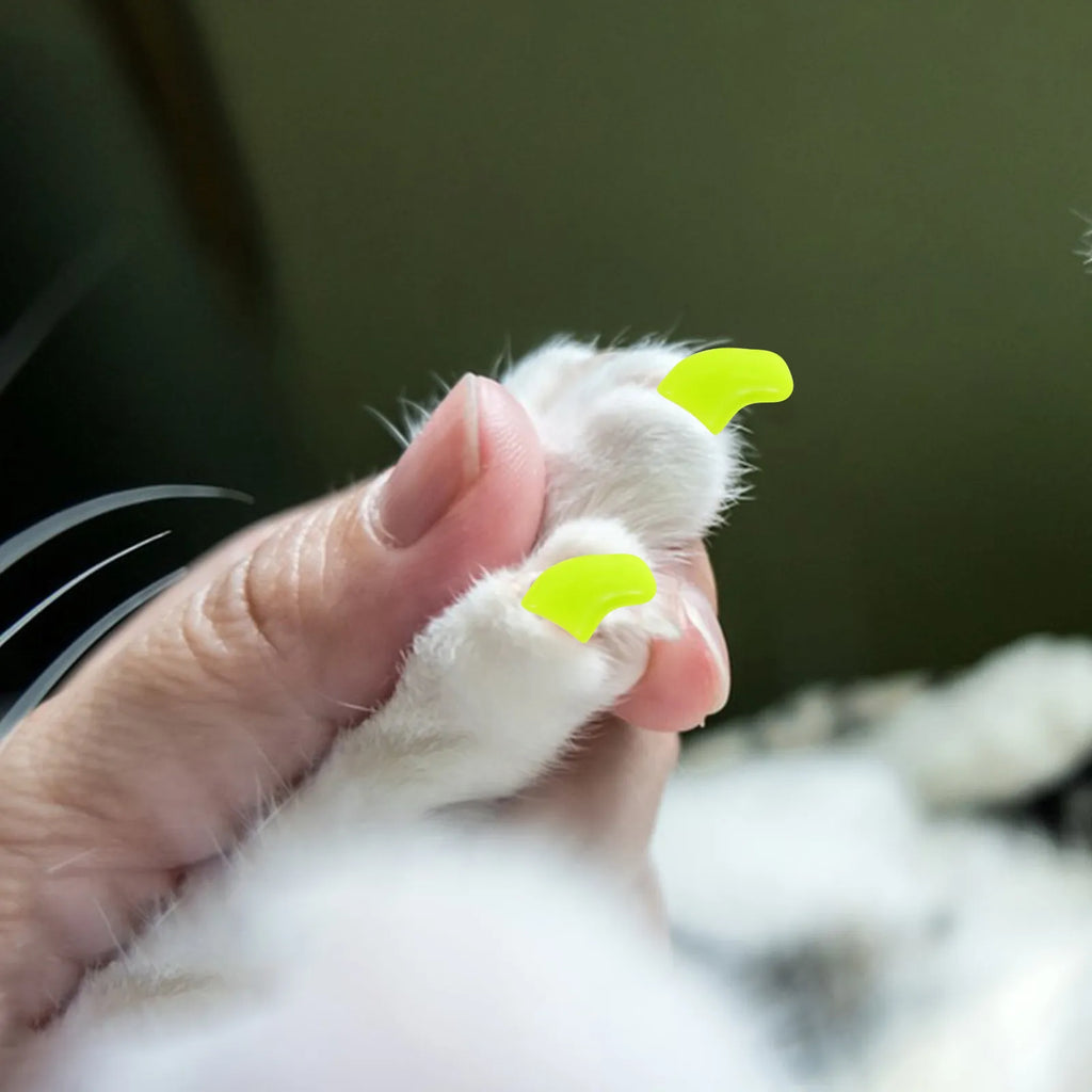 Comfortable Cat Claw Caps Tpr Material Nail Protectors Indoor