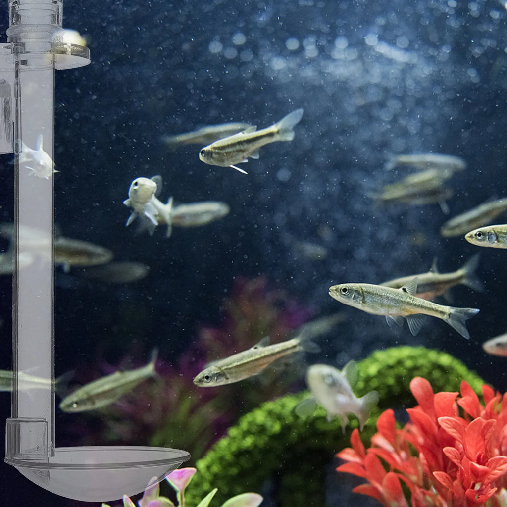 Aquarium Shrimp Feeder Tube Acrylic Fish Feeding Device Sinking