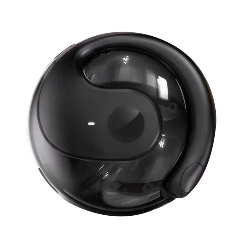 144 Languages Real-time Translation Device Earphones Wireless BT AI