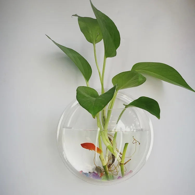 Glass Wall-mounted Plant Greenhouse Propagation Station Vase Air Home
