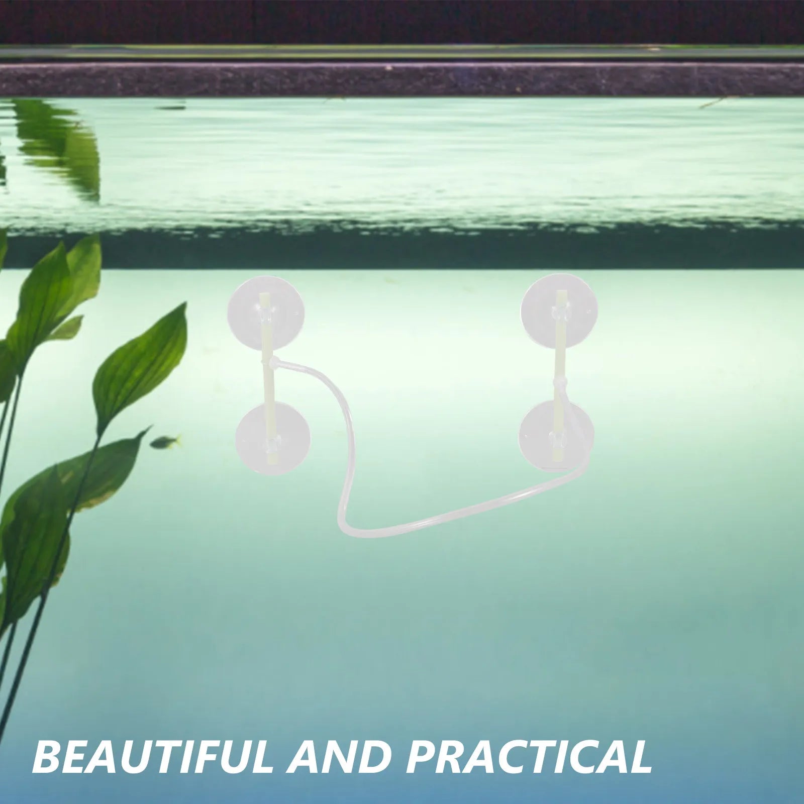 Aquarium Floating Plant Fence Plants Separator Fish Feeding Ring