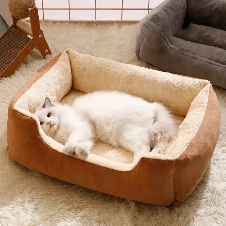 Bed for Cats Pet Products Cushions Kitten Goods Accessories Dog All Houses Supplies Things Accessory Habitats Basket House Beds Zpaxo