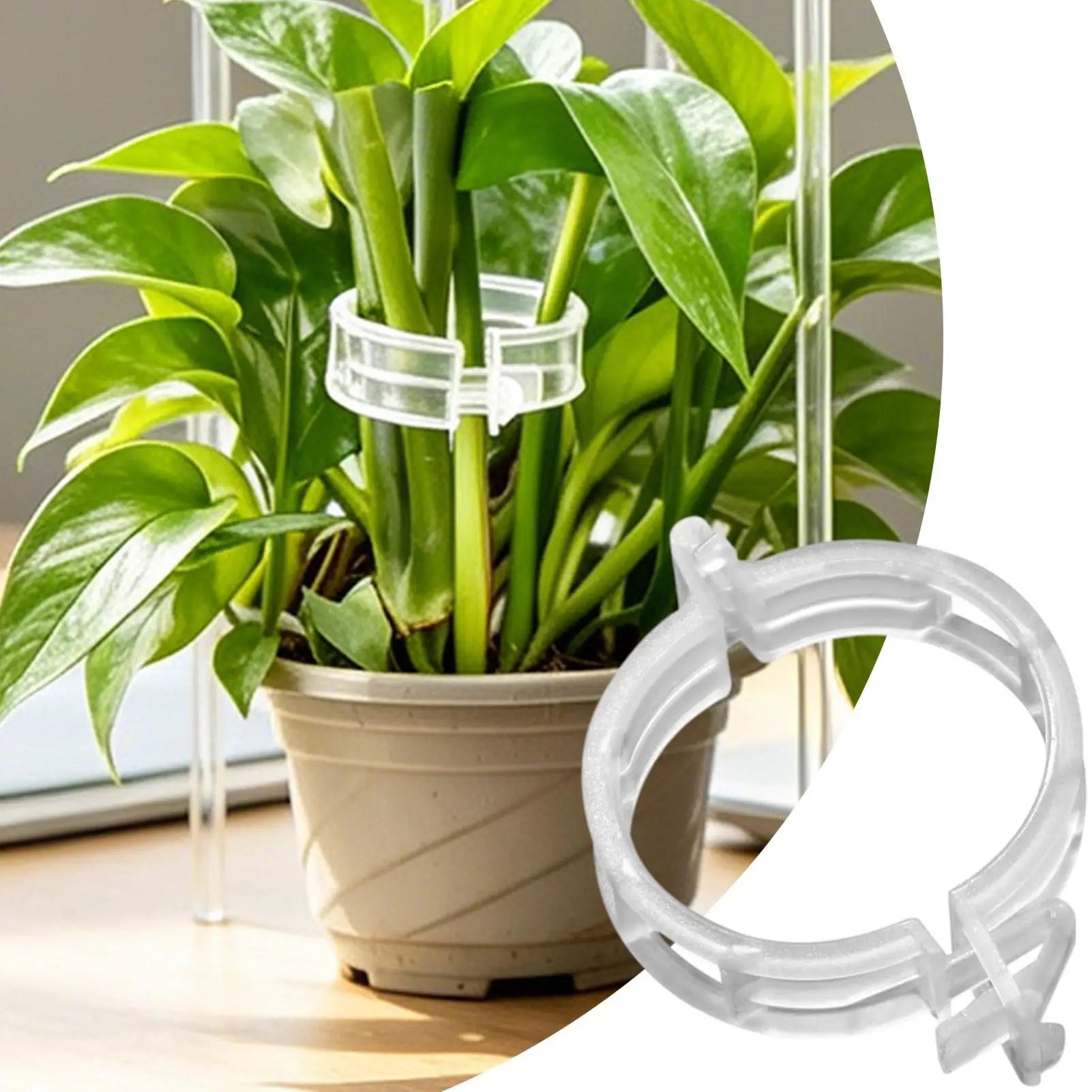 100-Pack Plant Support Clips – Trellis Stake Clips for Garden Plant Support Clips Zpaxo