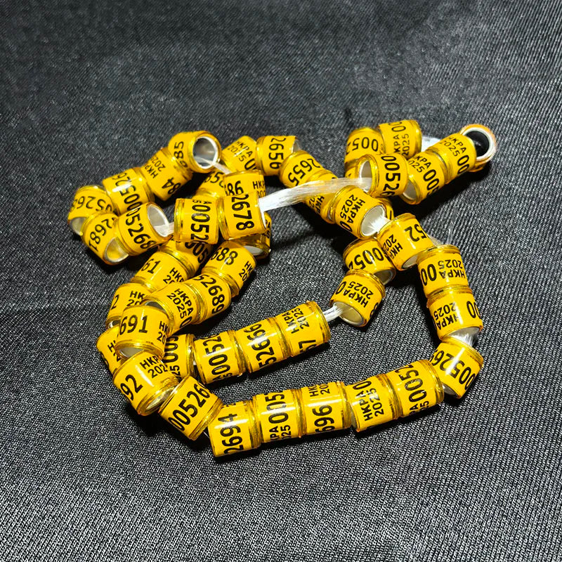 2025 Multicolor Pigeon Foot Ring Word Earrings Durable Bird Racing
