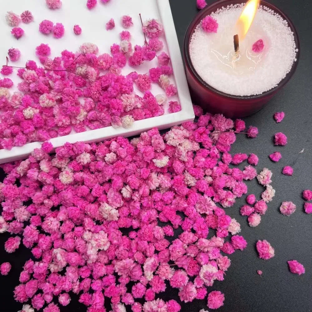 Pink Pressed Flower Mix for Resin, Candles, Nails & Soap Crafts Dried Pressed Flowers Zpaxo