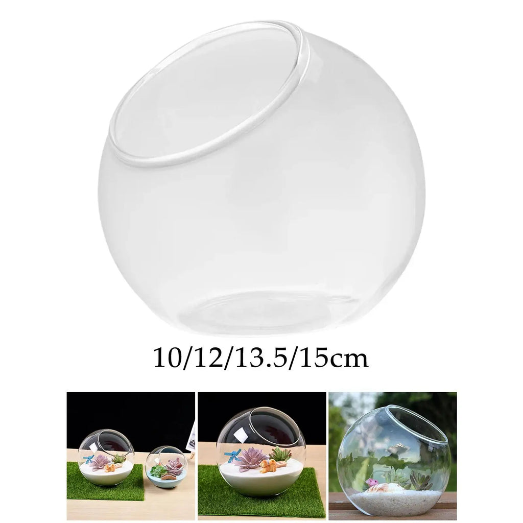 Clear Glass Slant Cut Terrarium Vase | Home & Office Decor Glass Terrarium Vase Zpaxo