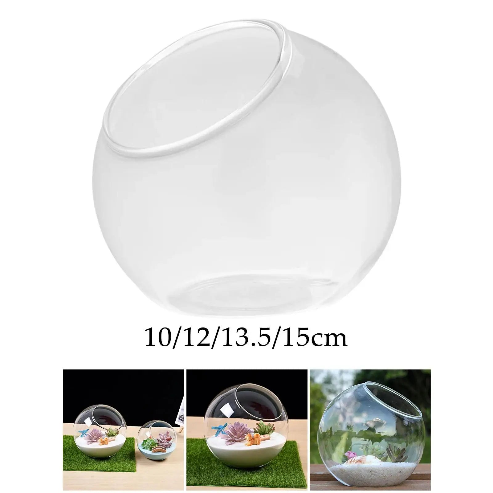 Clear Glass Slant Cut Terrarium Vase | Home & Office Decor Glass Terrarium Vase Zpaxo