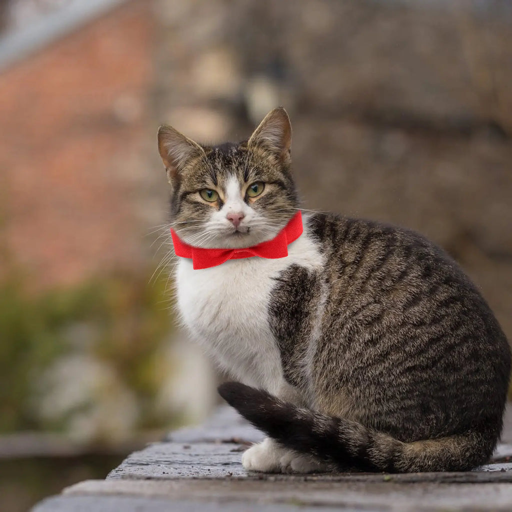 Breathable Pet Bow Tie Collar Cats Kittens Adjustable Decorative Dog