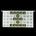Bee Multifunctional Plastic King Storage Multi Gateway Queen Cage 45