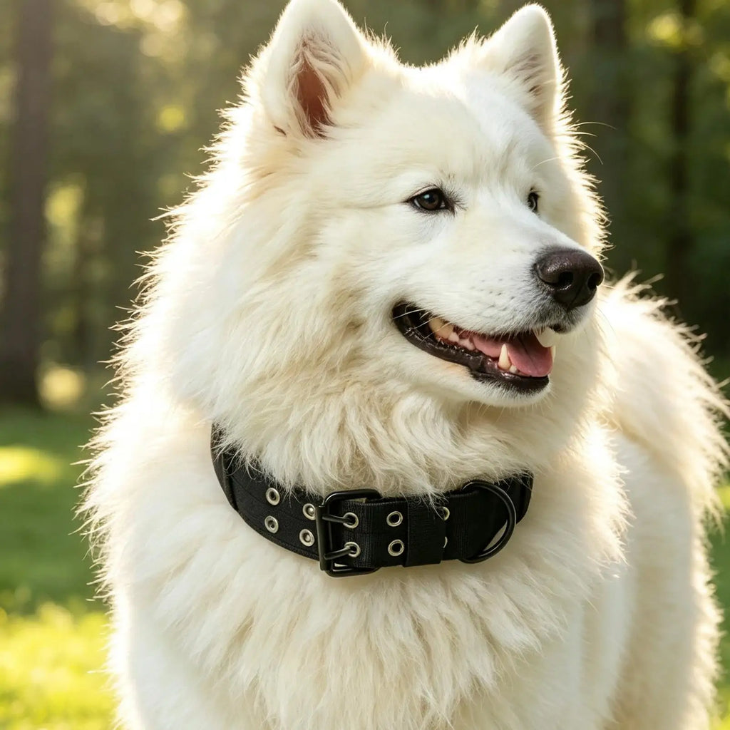 Boy Dog Collars Soft Nylon Heavy Duty Adjustable Lead Medium Collar