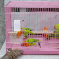 2Sets Automatic Bird Feeder Waterer Plastic Feeding Container Simple