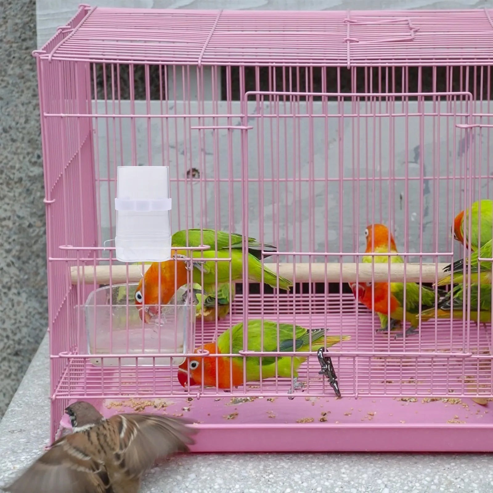 2Sets Automatic Bird Feeder Waterer Plastic Feeding Container Simple