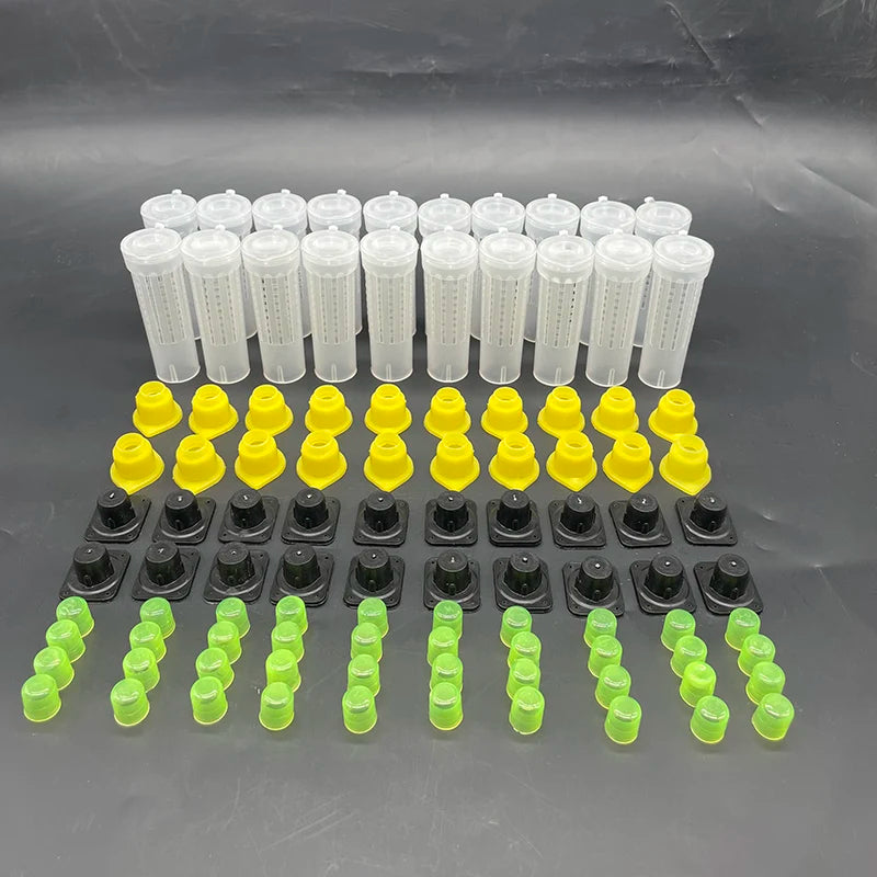 Bees Tools Cages King Queen Rearing Cupkit System Bee Beekeeping