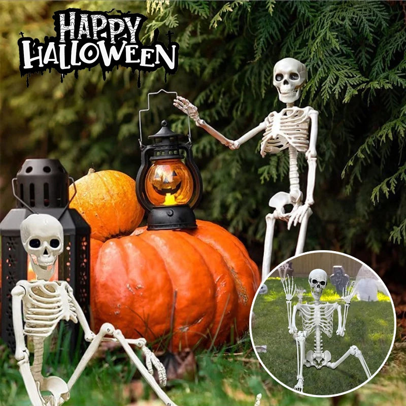 Poseable Skeleton Prop Articulated Joints Hanging Skull Standing