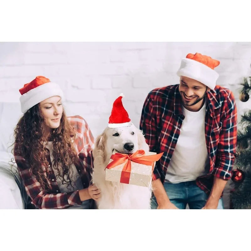 Festive Pet Santa Hats Dogs Cats Plush Christmas Costume Cap Small