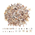 Tiny Shells DIY Crafts Making Starfish Mixed Hobbyists Beginners