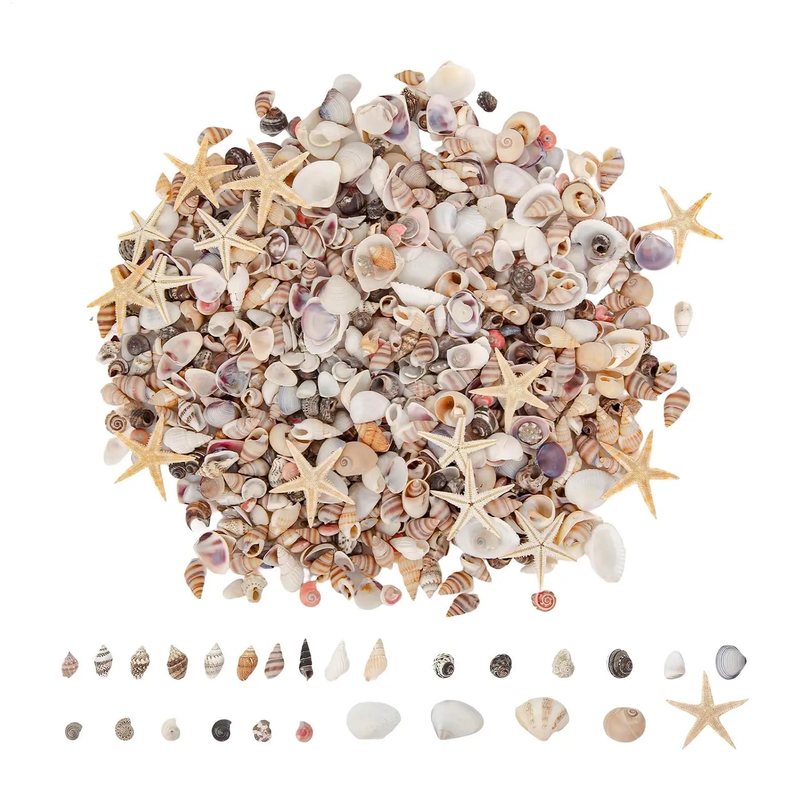 Tiny Shells DIY Crafts Making Starfish Mixed Hobbyists Beginners