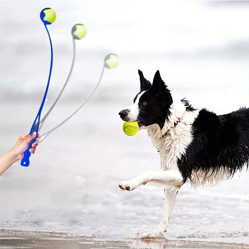 Pet Tennis Ball Launcher Stick Interactive Outdoor Dog Training Toy