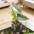 Plant Holder Fish Tank Transparent Hanger Pot Aquatic Hydroponic