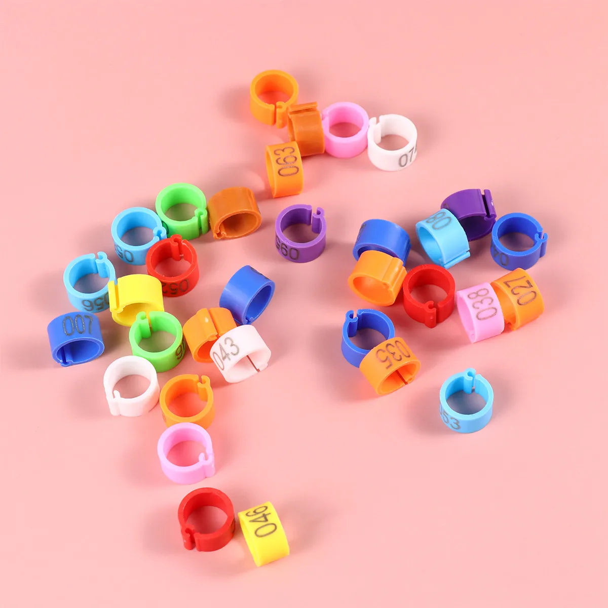 Digital Bird Identification Plastic Opening Foot Rings Bright Numbers