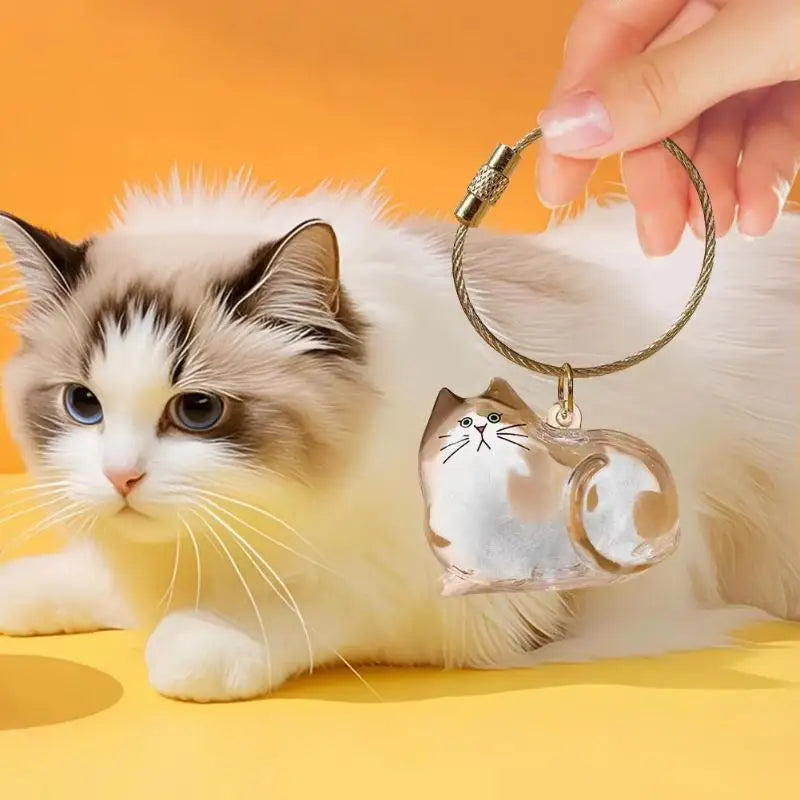 Kawaii Cat Keychain Pet Hair Storage Box & Grooming Charm