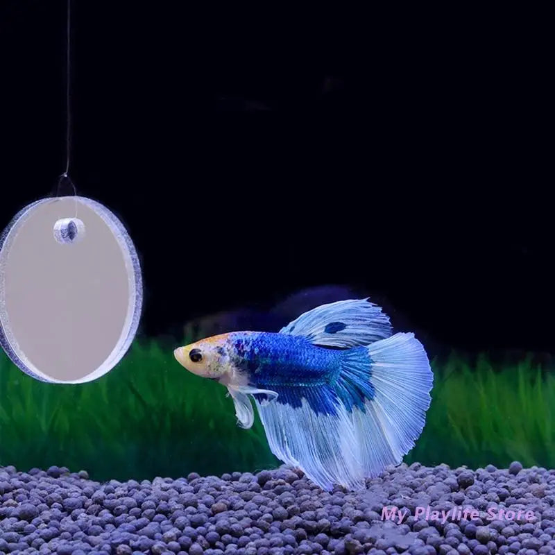Floating Betta Exercise Mirror Dia. 5cm/6cm/7cm Floating Round Mirror Fish Tank Antidepressant Betta Training Mirror Zpaxo